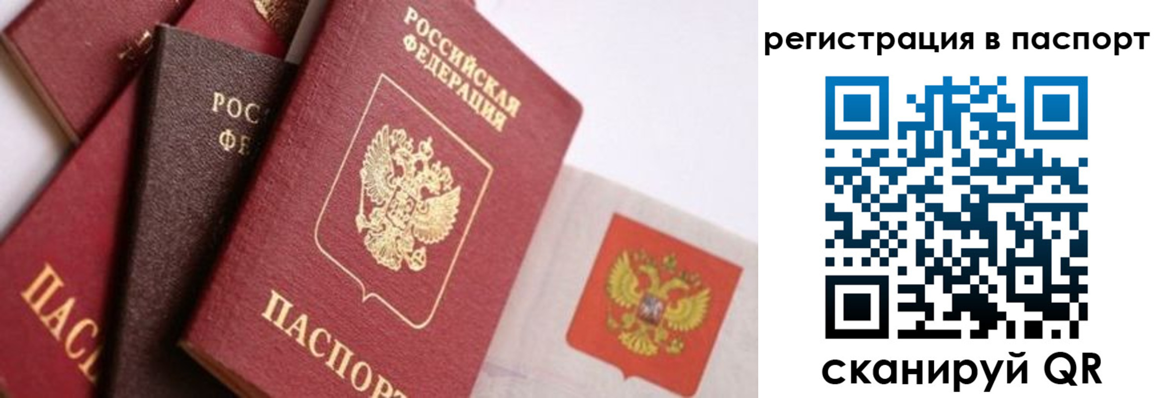 прописка в квартире в Владивостоке